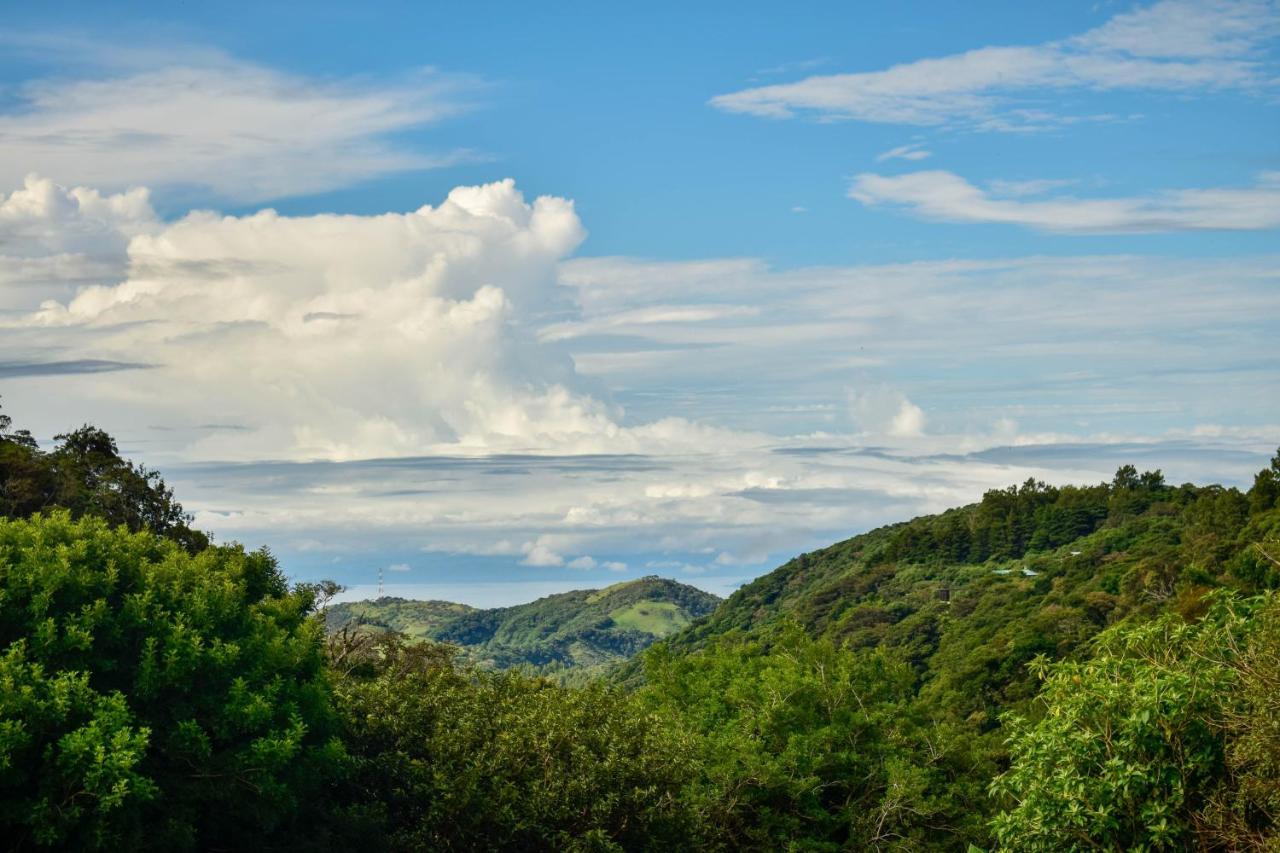 Cabinas Selva Verde Monteverde Bagian luar foto
